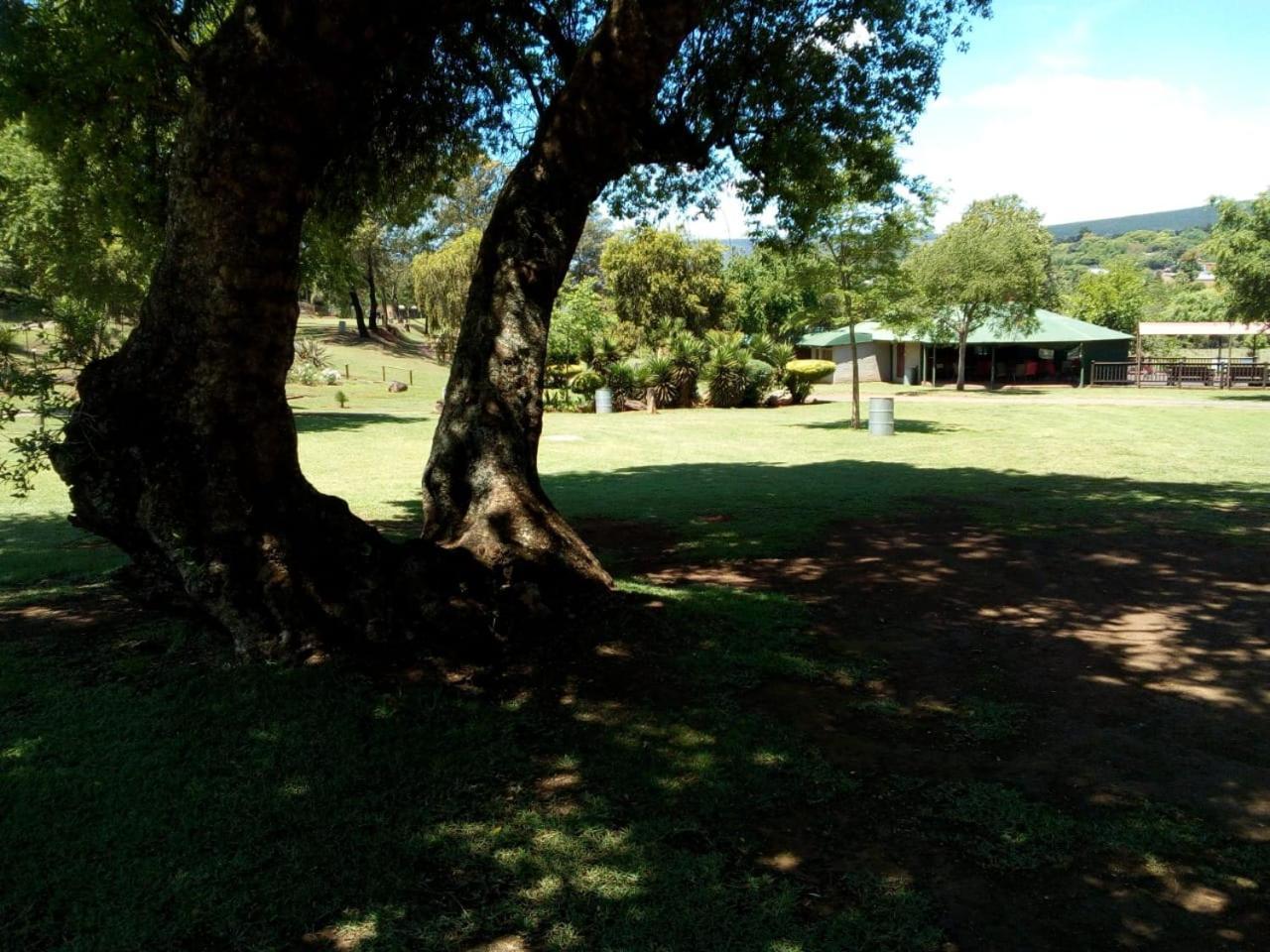 Sabie River Camp Buitenkant foto